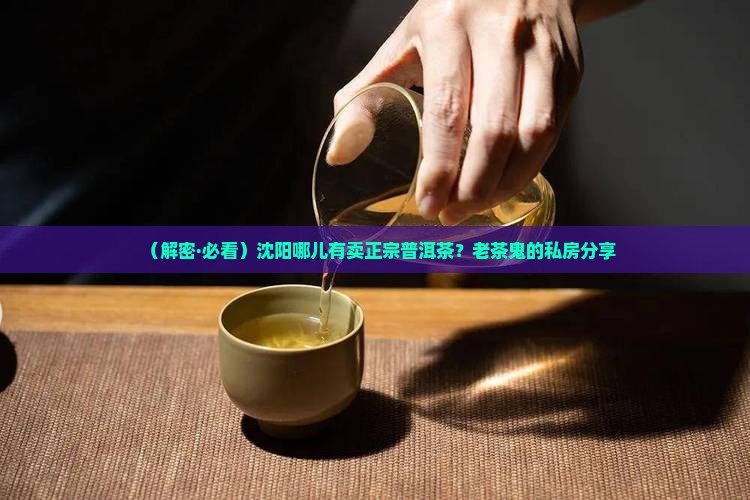 沈阳哪个地方卖普洱茶的