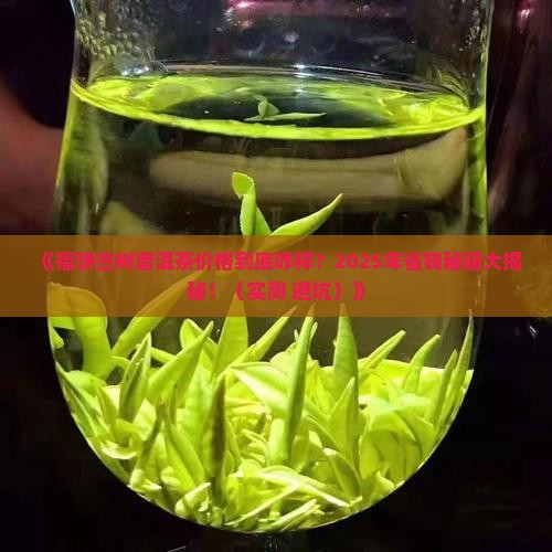福饼古树普洱茶价格查询