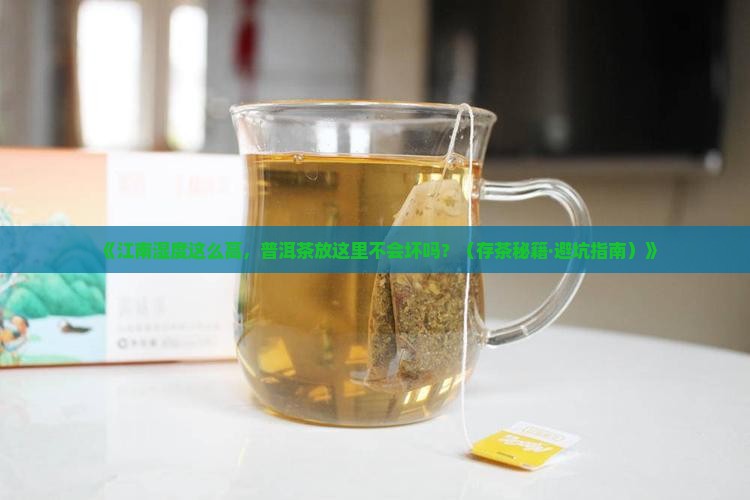 江南地区普洱茶存放