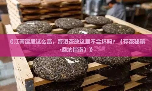 江南地区普洱茶存放