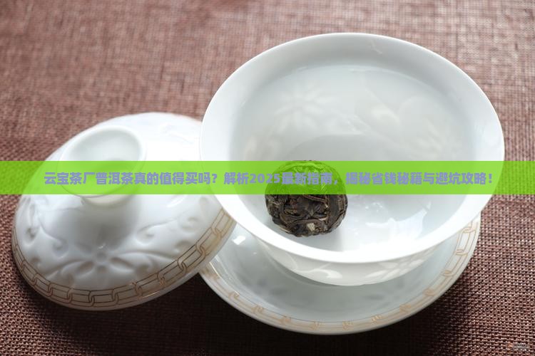 云宝茶厂普洱茶