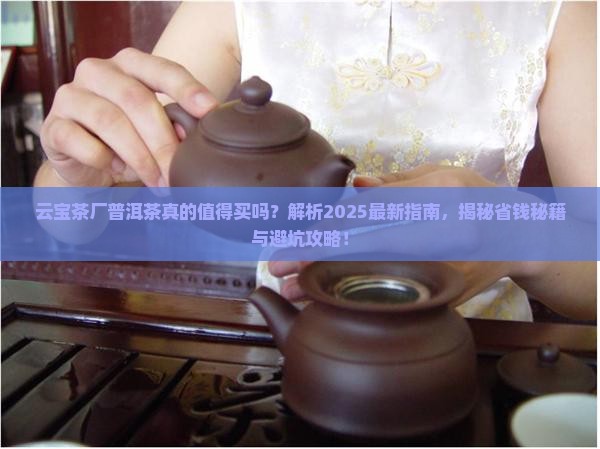 云宝茶厂普洱茶