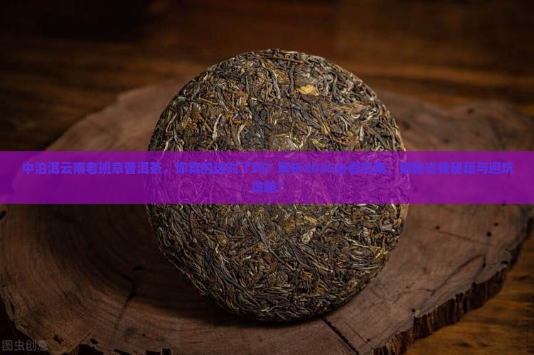 中泊洱云南老班章普洱茶