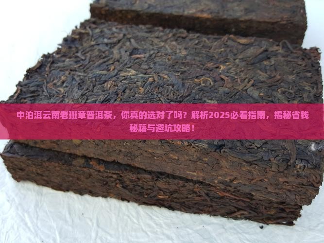 中泊洱云南老班章普洱茶