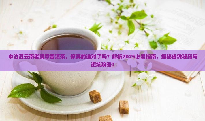 中泊洱云南老班章普洱茶