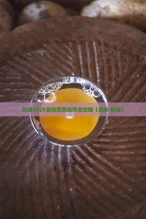 则道2019曼松贡茶
