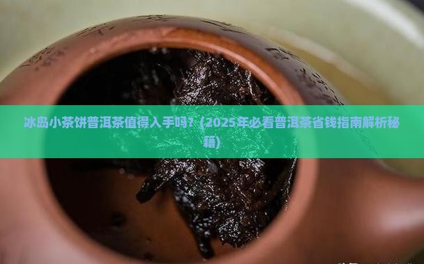 冰岛小茶饼普洱茶