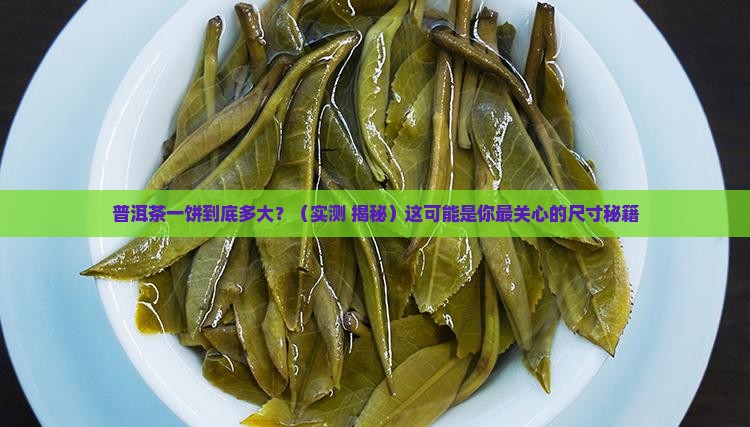 普洱茶一饼的尺寸