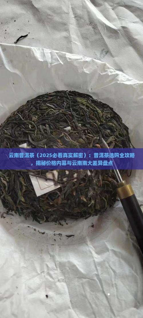 云南大别山普洱茶