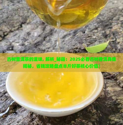 古树普洱茶的滋味