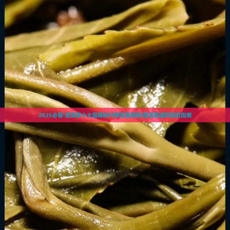 一线大厂品牌普洱茶新茶
