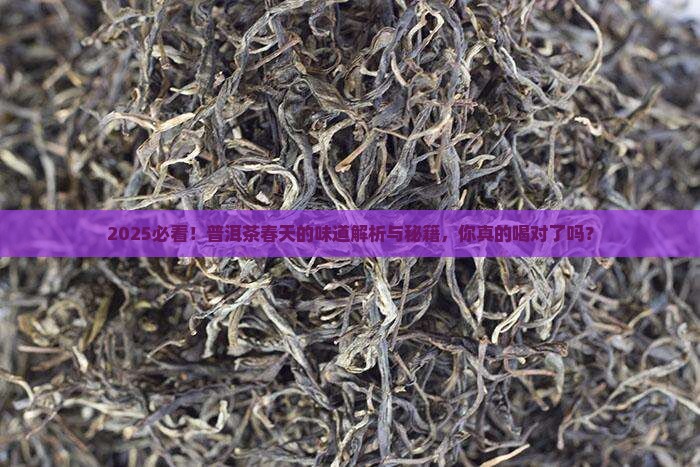 普洱茶春天的味道
