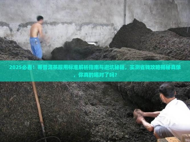 蒂普洱茶的服用标准