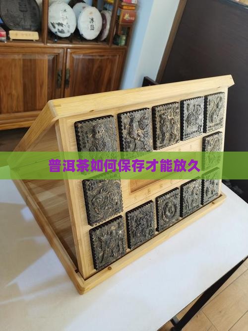 普洱茶如何保存才能放久
