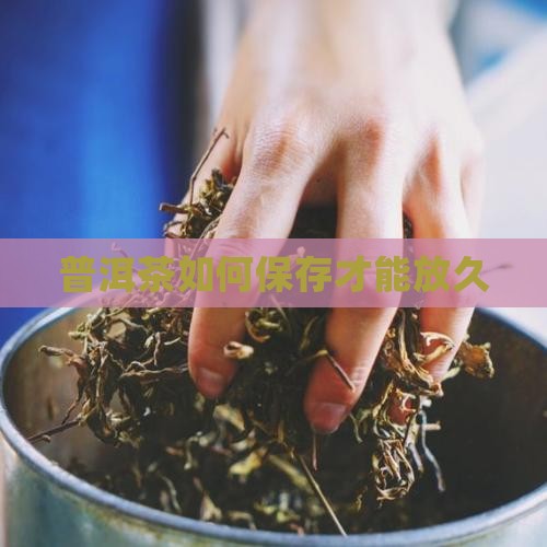 普洱茶如何保存才能放久