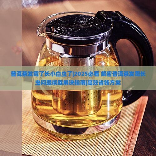 普洱茶发霉了长小白虫了