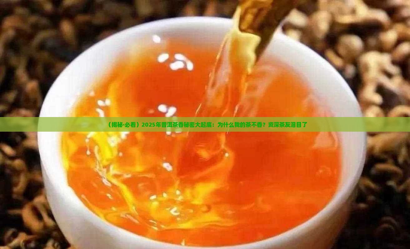 普洱茶香的秘密