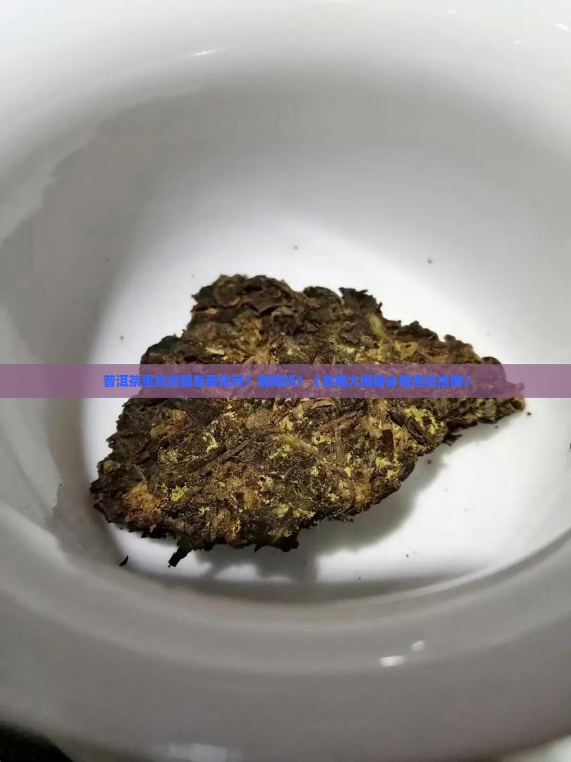 普洱茶里面有葵花籽吗能喝吗