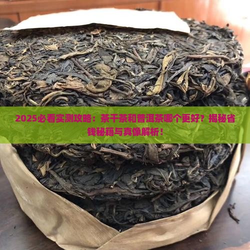 茶干茶和普洱茶哪个好