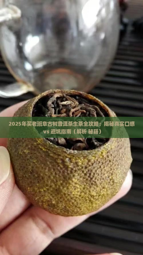 买老班章古树普洱茶生茶