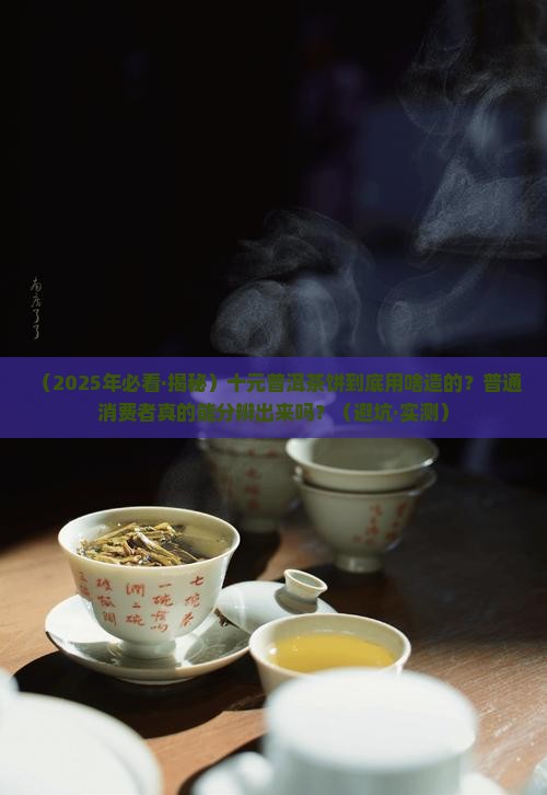 十元普洱茶饼用什么造的