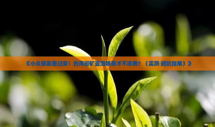 台湾岩矿壶适合什么茶