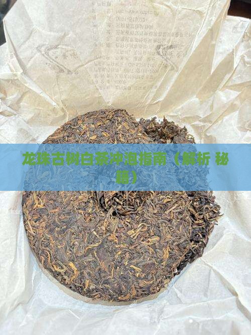龙珠古树茶铜鼓白茶泡发