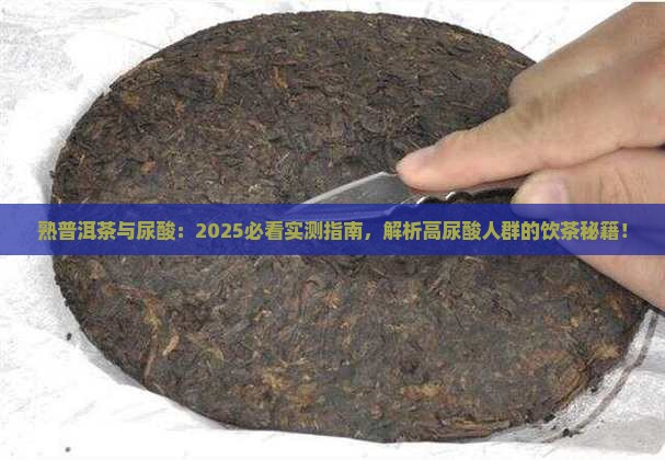 熟普洱茶与尿酸