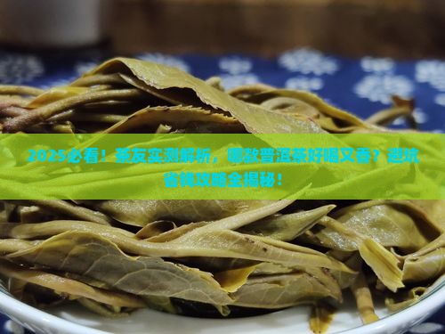哪款普洱茶好喝又香