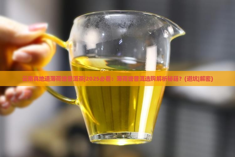 云南真地道薄荷塘普洱茶