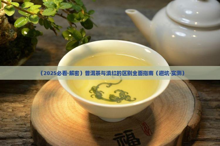 彩虹之滇和普洱茶区别