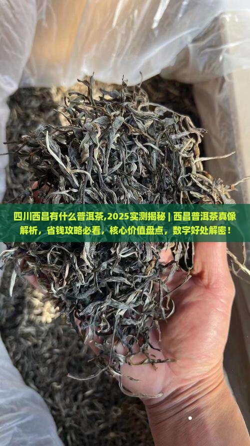 四川西昌有什么普洱茶
