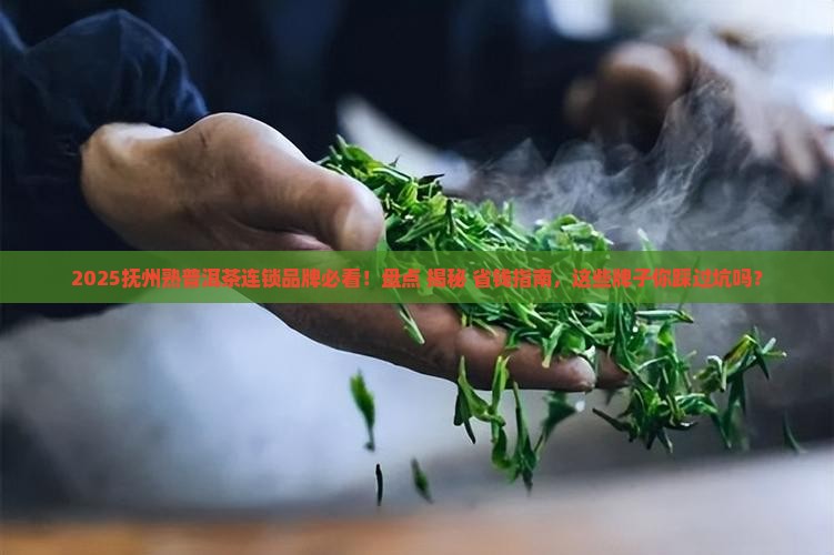 抚州熟普洱茶连锁品牌排名