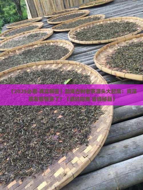 以是勐海古树老茶普洱茶的源头