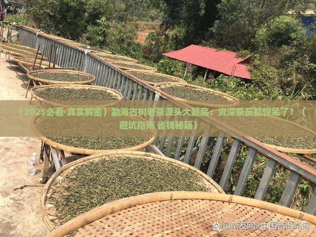以是勐海古树老茶普洱茶的源头