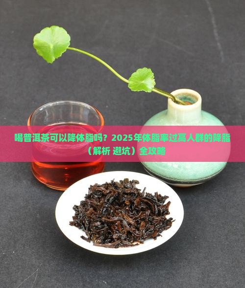 喝普洱茶可以降体脂吗