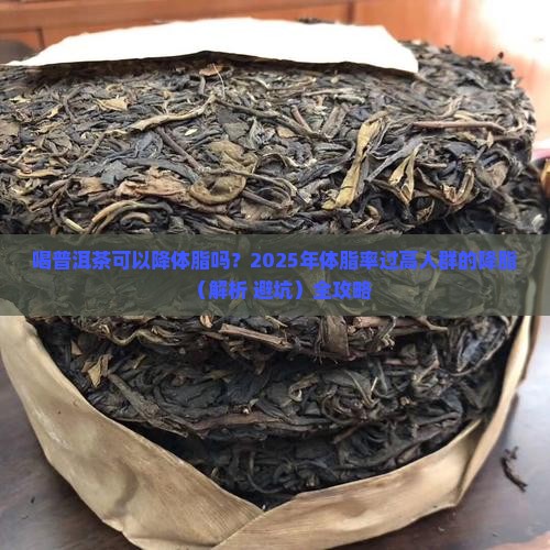 喝普洱茶可以降体脂吗
