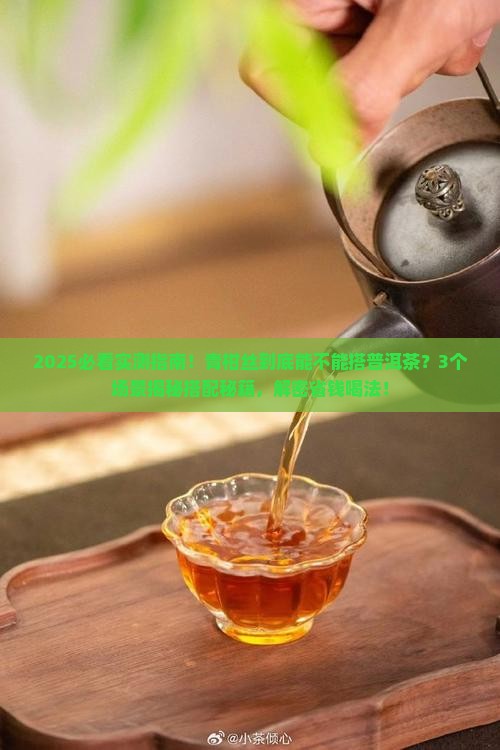 青柑丝能搭配普洱茶吗