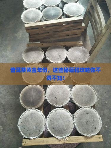 普洱茶黄金年份