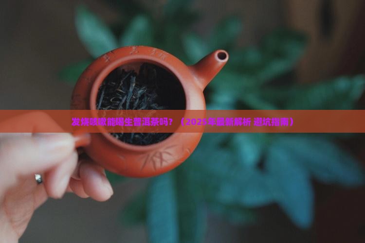 发烧咳嗽生普洱茶