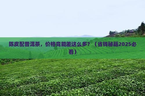 陈皮和普洱茶价格差多少