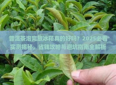 普洱茶泡完放冰箱