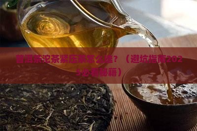 普洱茶紧压茶沱茶区别
