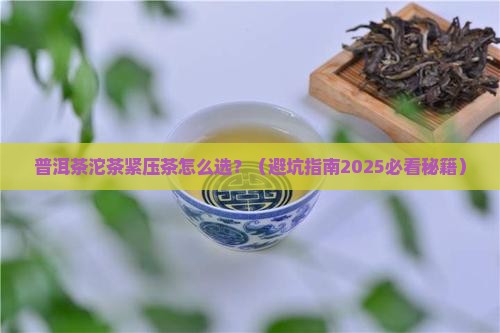 普洱茶紧压茶沱茶区别