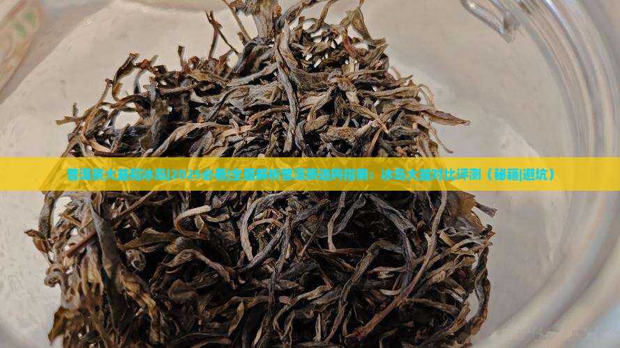 普洱茶大益和冰岛
