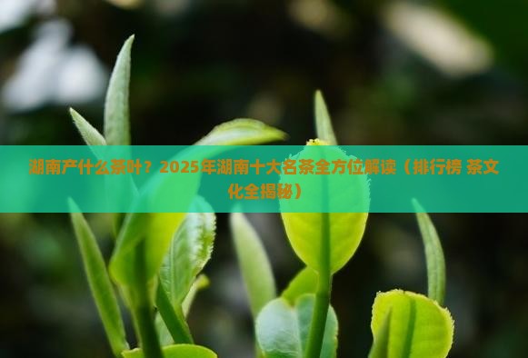 湖南产什么茶叶