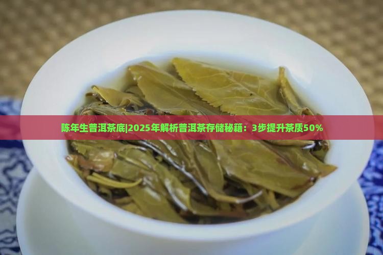 陈年生普洱茶底