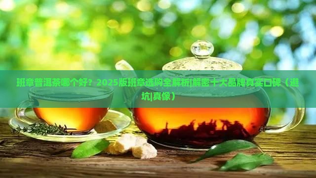班章普洱茶哪个好