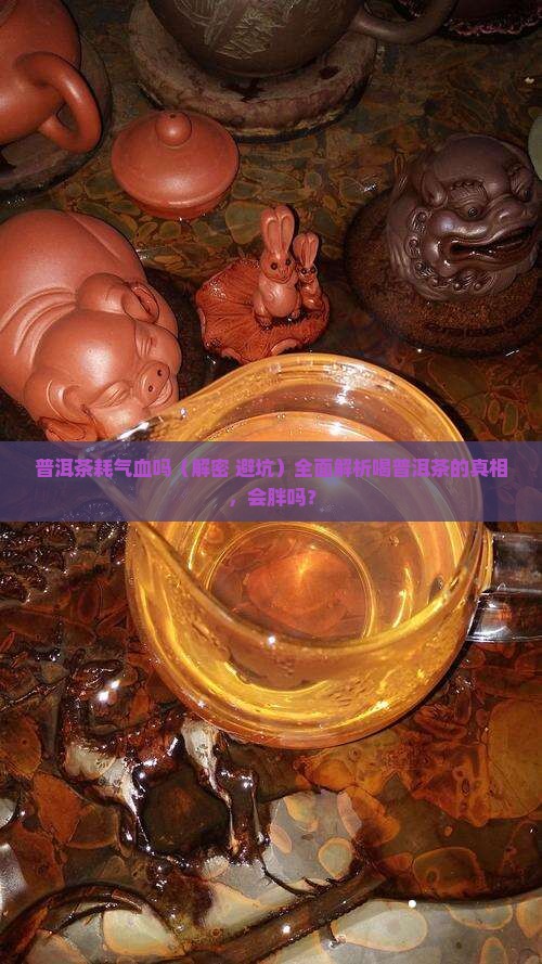 普洱茶耗气血吗 普洱茶耗气血吗