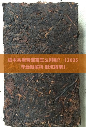 樟木香老普洱茶